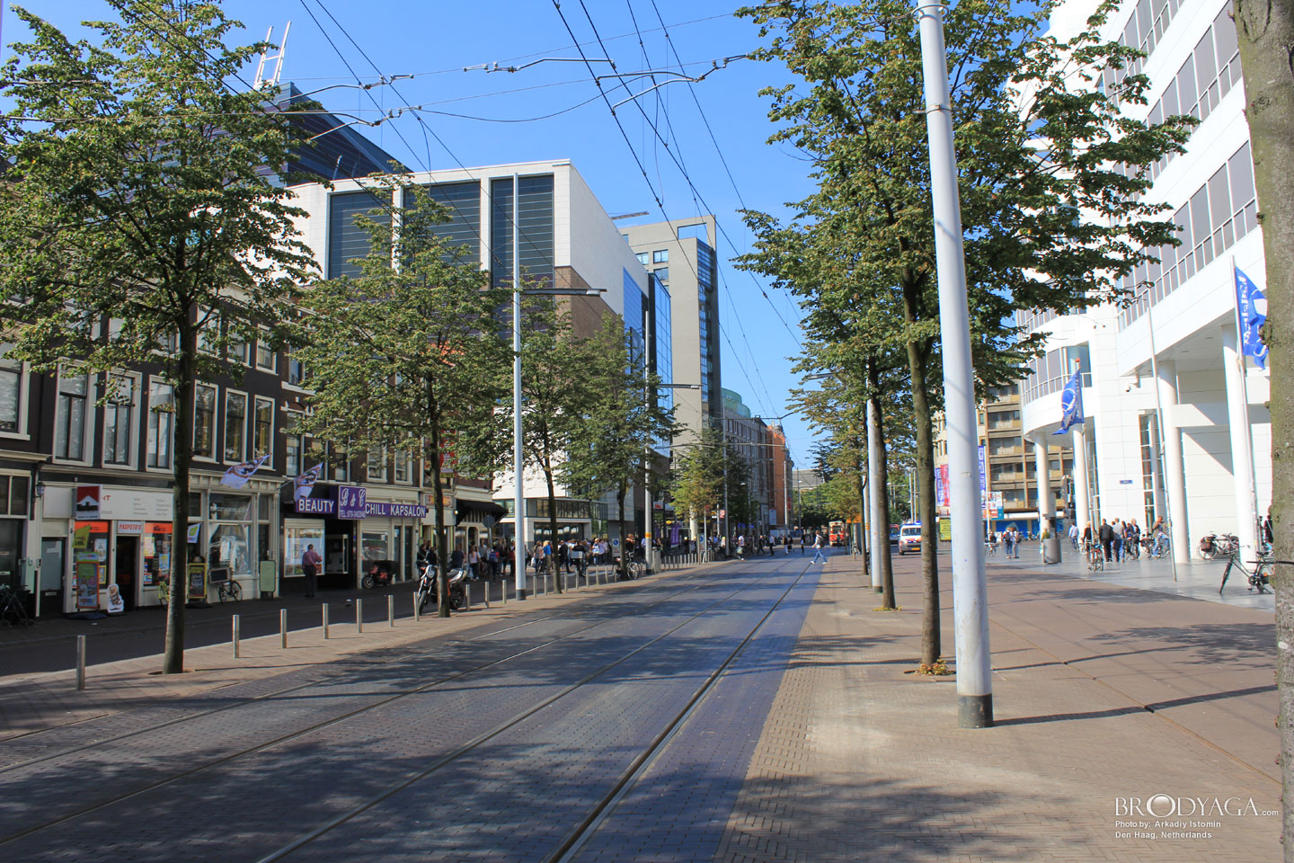 Den Haag